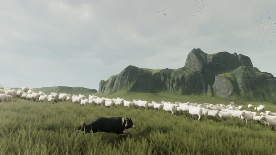 Скриншот 1 из The Free Shepherd