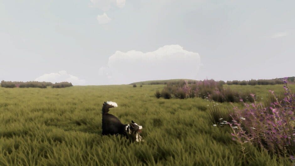 Скриншот 2 из The Free Shepherd