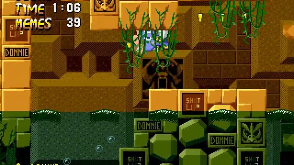 Скриншот 2 из Donnie the Chao Final Mix