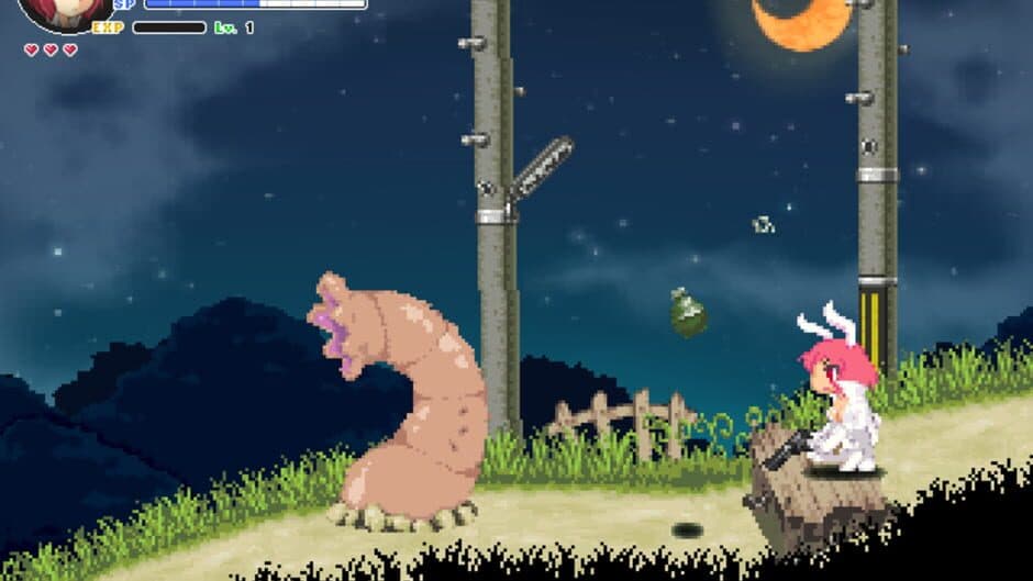 Скриншот 3 из Echidna Wars DX