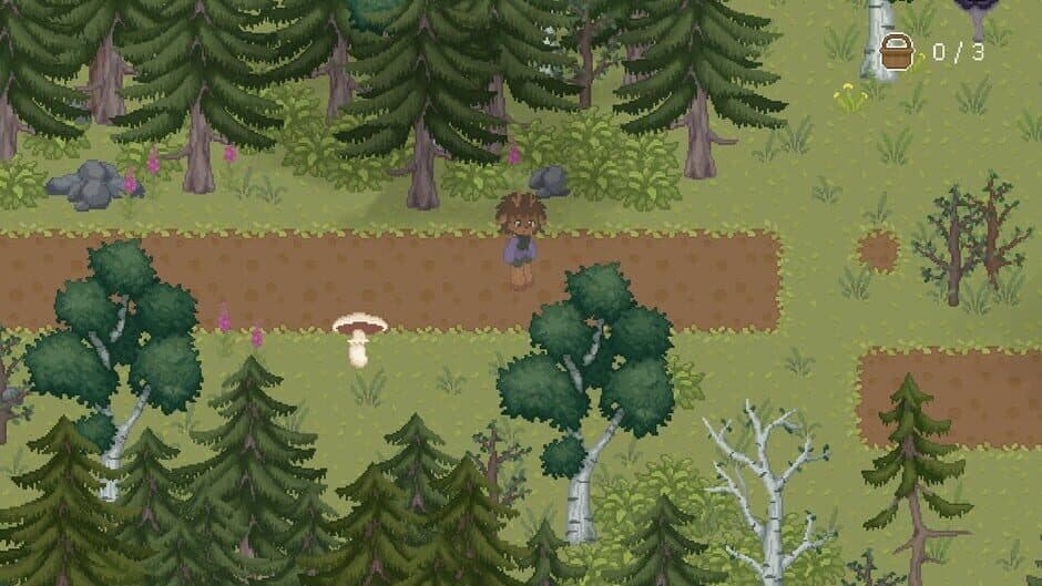 Скриншот 1 из The Mushroom Journal