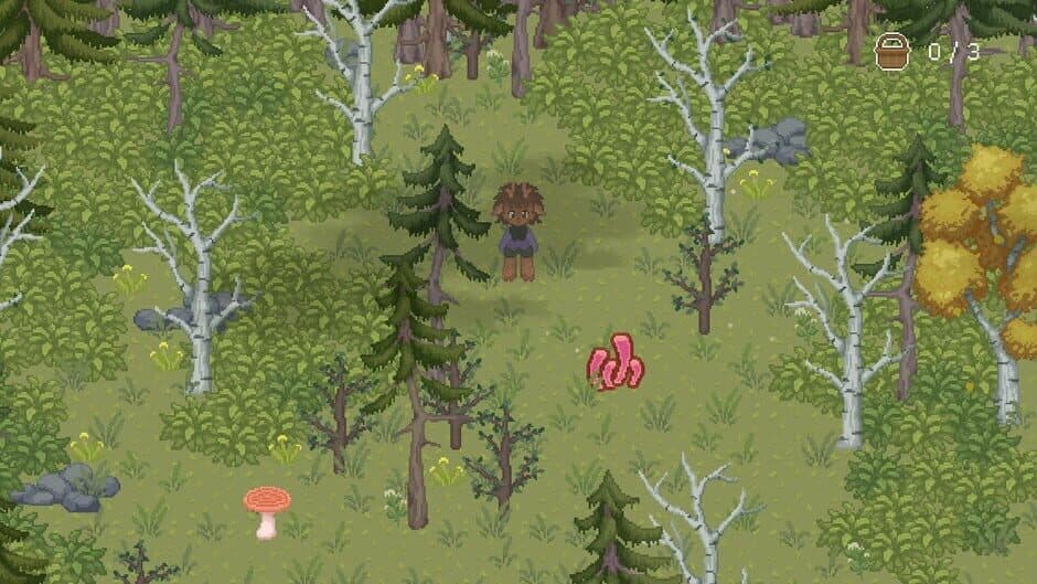 Скриншот 4 из The Mushroom Journal
