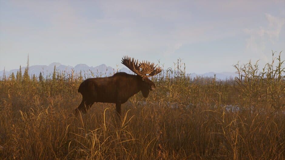 Скриншот 4 из Way of the Hunter 2