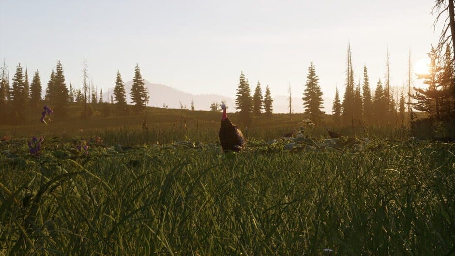 Скриншот 2 из Way of the Hunter 2