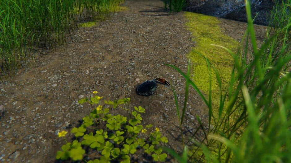 Скриншот 6 из Strong Crab