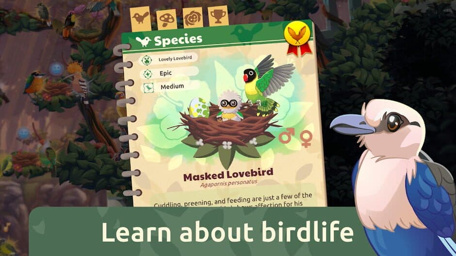 Скриншот 6 из Bird Kind