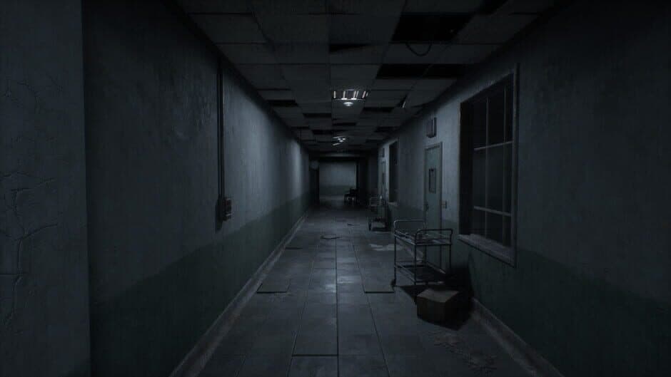 Скриншот 1 из Asylum 45