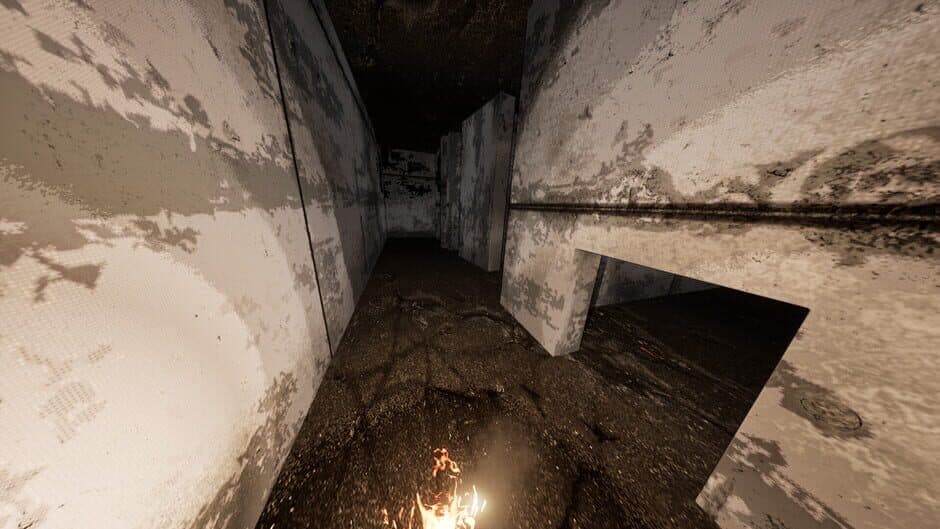Скриншот 9 из Pillars Of Fog