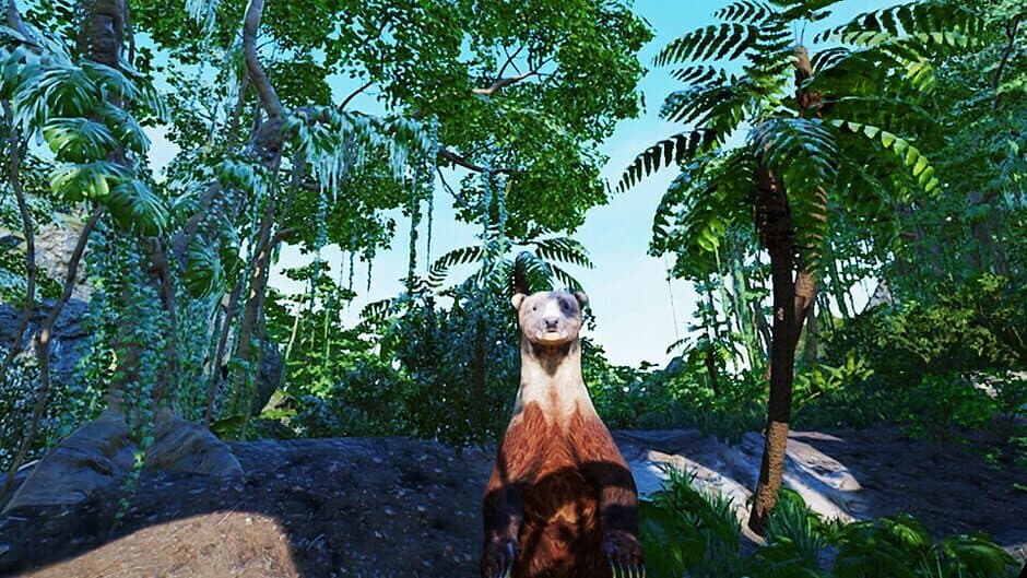 Скриншот 2 из VR Animal Kids Rumble