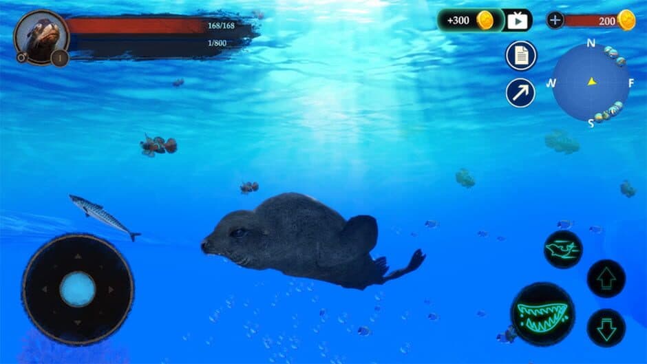 Скриншот 1 из The Sea Lion