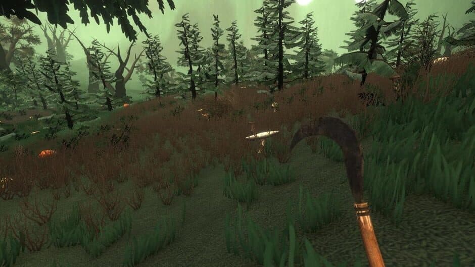 Скриншот 2 из Forester Simulator 2026: Mushroom Hunting