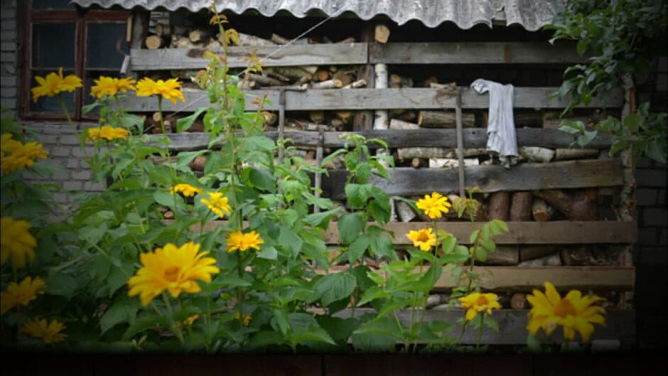 Скриншот 3 из Garden Door