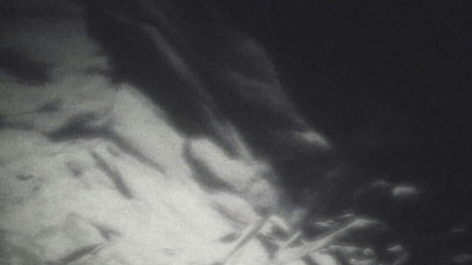 Скриншот 1 из Ocean::Ephemera