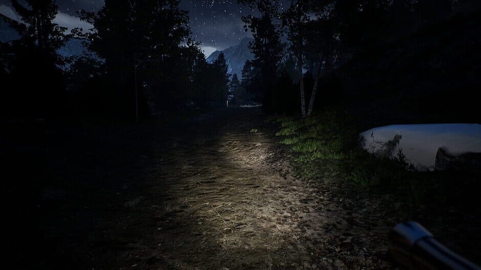 Скриншот 11 из Campfire: Night One