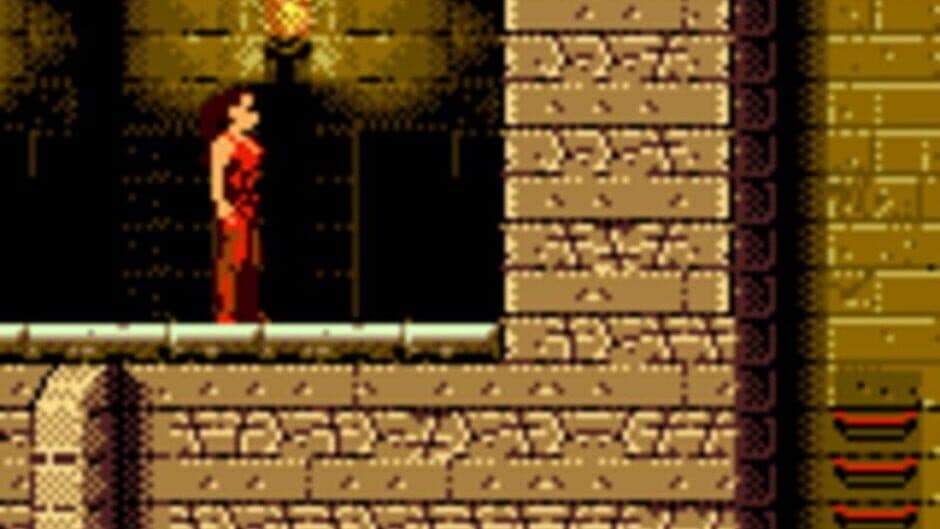 Скриншот 5 из Fort Boyard