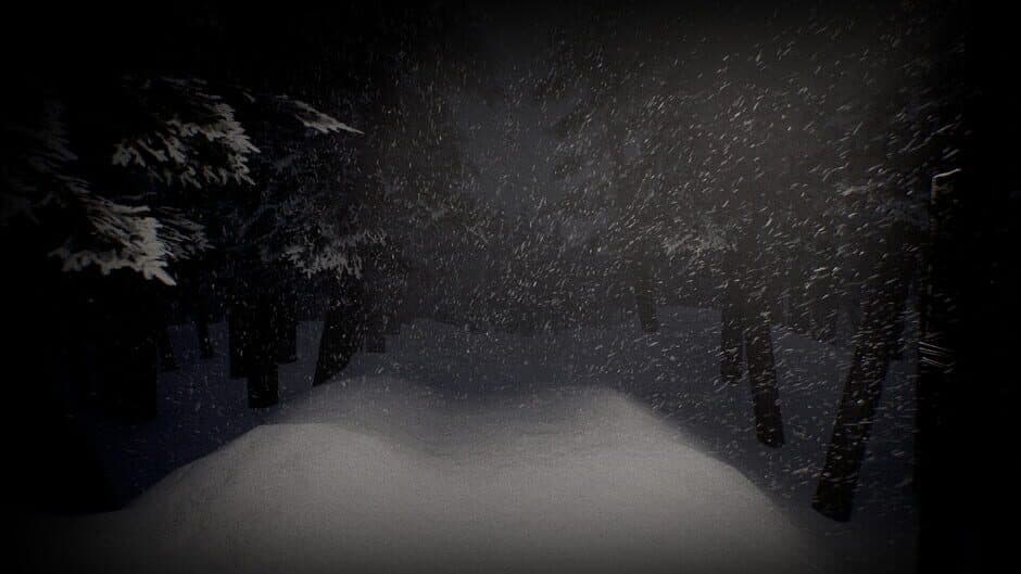 Скриншот 3 из White Silence