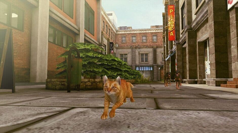 Скриншот 3 из Little Strays 2