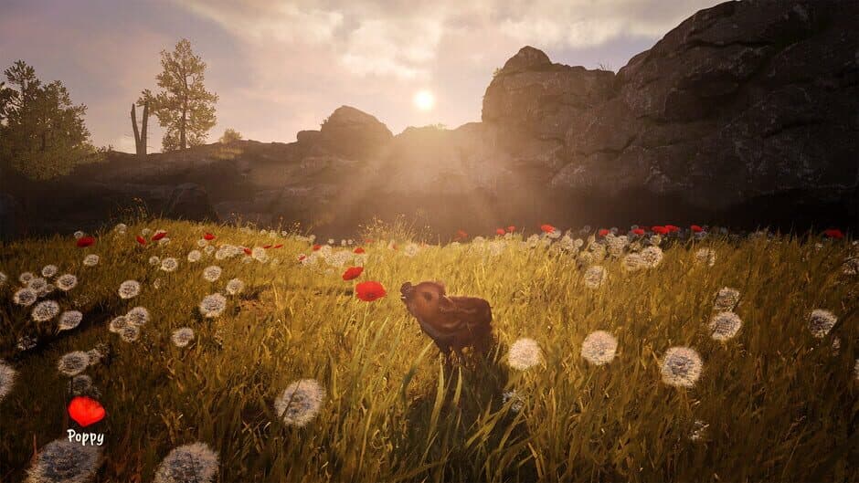 Скриншот 2 из Adorable Adventures