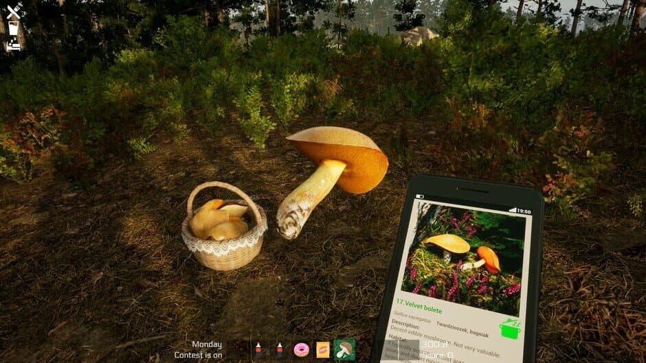 Скриншот 11 из Mushroom Season