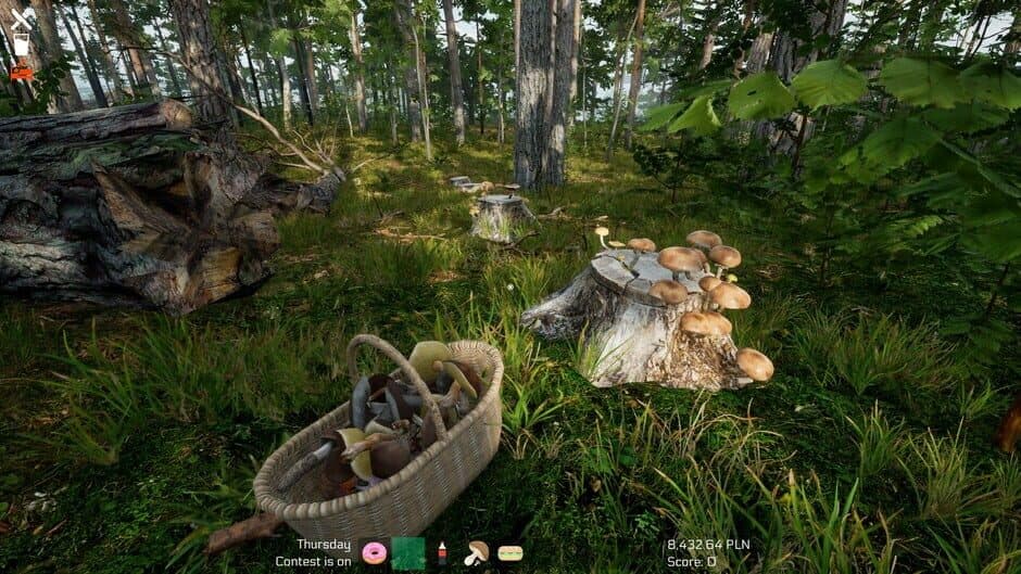 Скриншот 8 из Mushroom Season