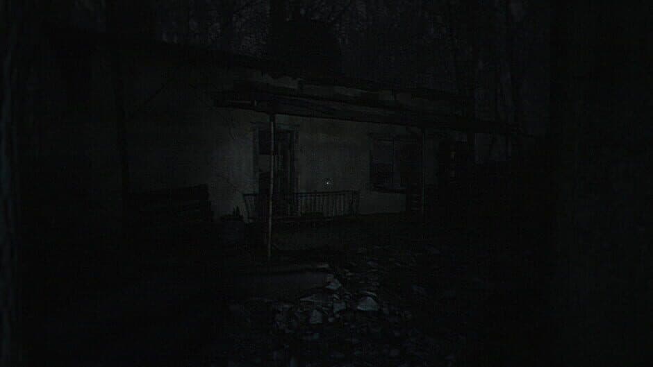 Скриншот 2 из The Strange Lights