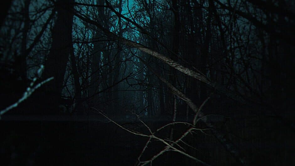 Скриншот 5 из The Strange Lights