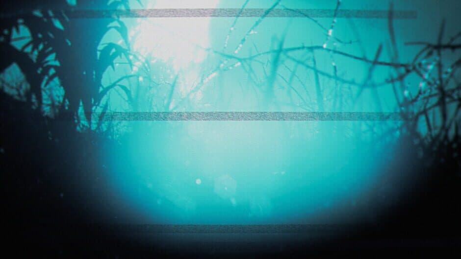 Скриншот 9 из The Strange Lights