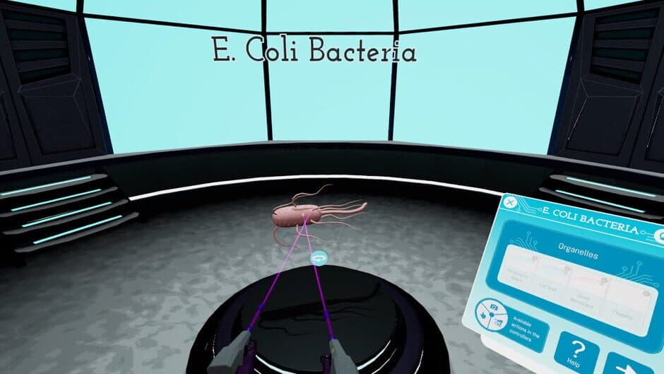 Скриншот 4 из Looking Inside Cells