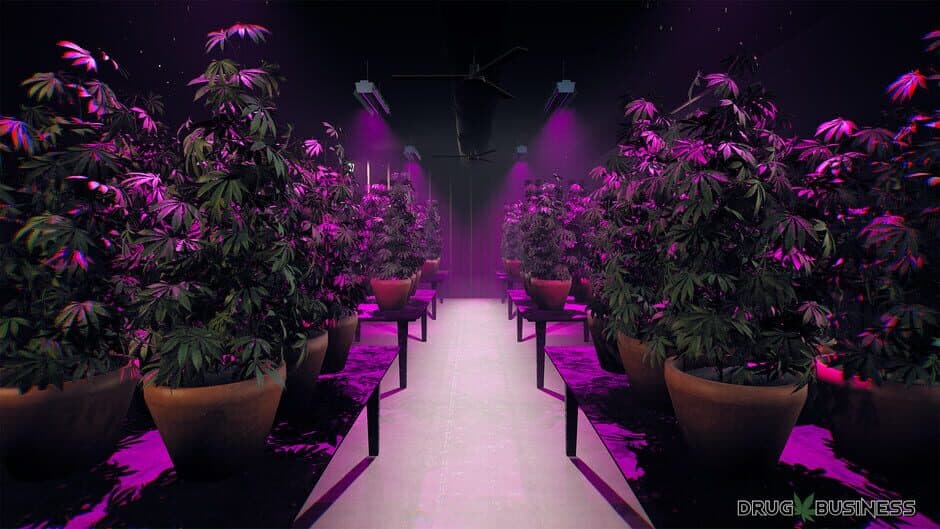 Скриншот 4 из Drug Business