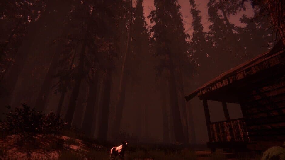 Скриншот 5 из Shroud of the Woods