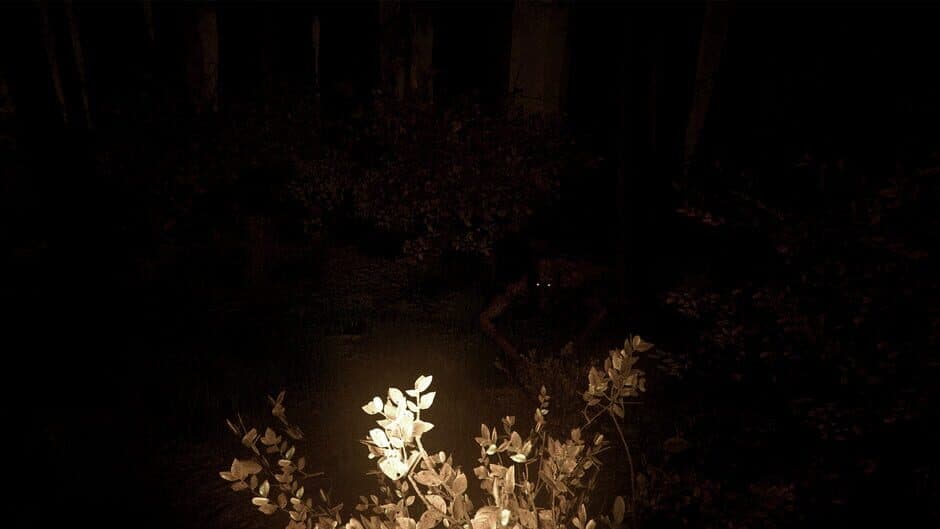 Скриншот 6 из Shroud of the Woods