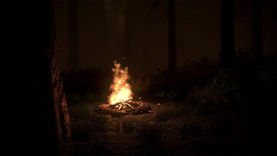 Скриншот 2 из Shroud of the Woods