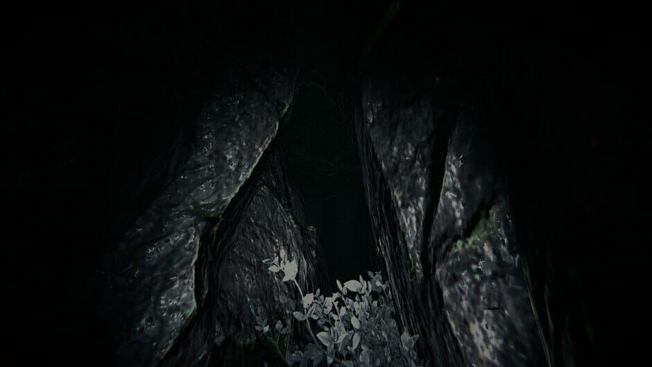 Скриншот 3 из Shroud of the Woods