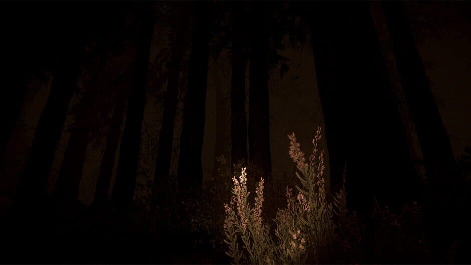 Скриншот 4 из Shroud of the Woods