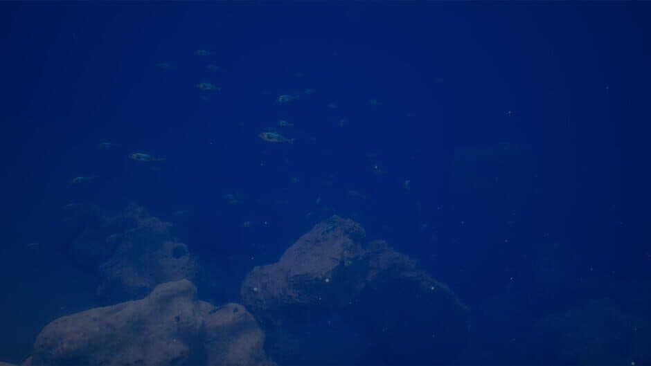 Скриншот 10 из Halu: The Fish
