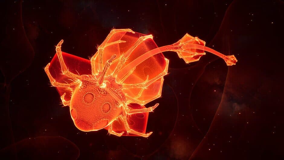 Скриншот 3 из Lifecycles of the Traveler Spider