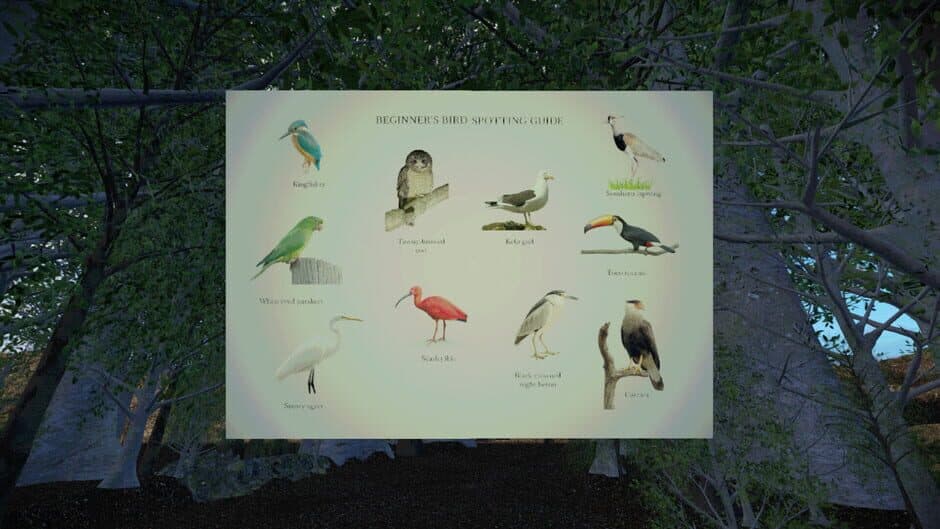 Скриншот 2 из Birdwatching