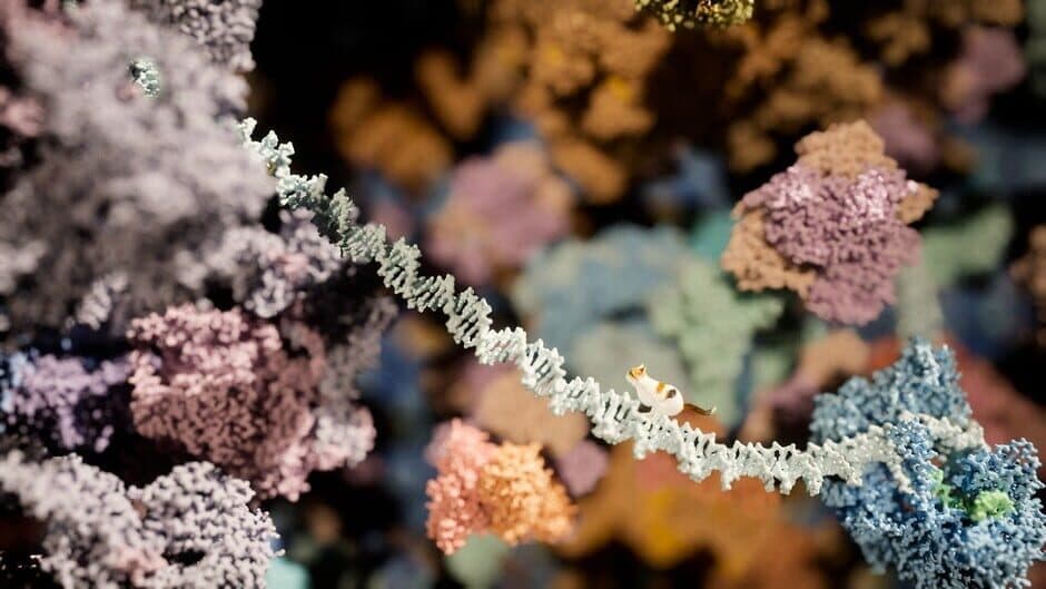 Скриншот 1 из Meowtabolism: Examining Feline Behavior Within Unicellular Algae