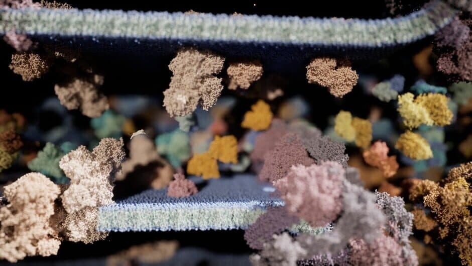 Скриншот 2 из Meowtabolism: Examining Feline Behavior Within Unicellular Algae