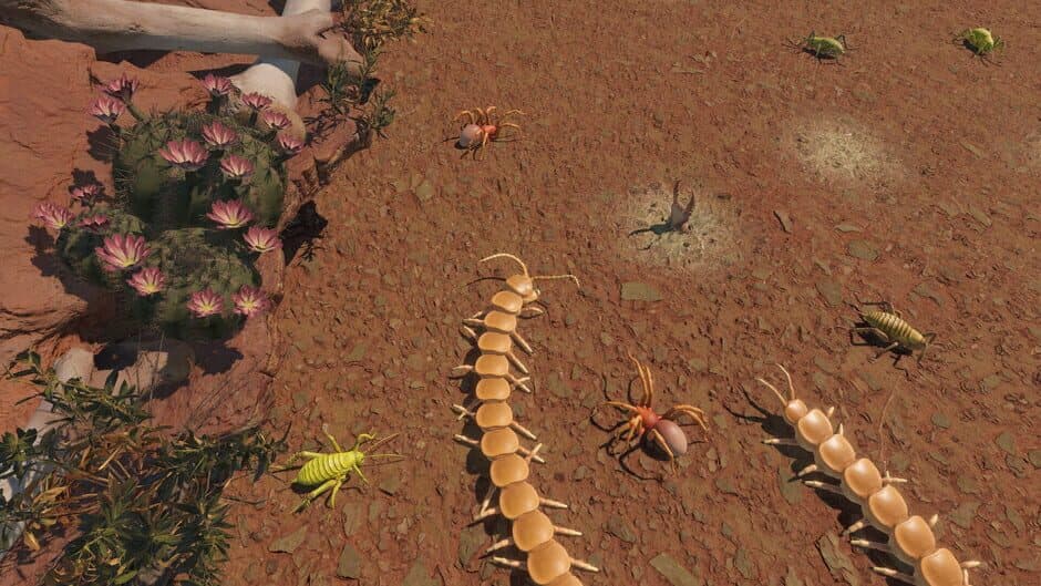 Скриншот 2 из Centipede Simulator