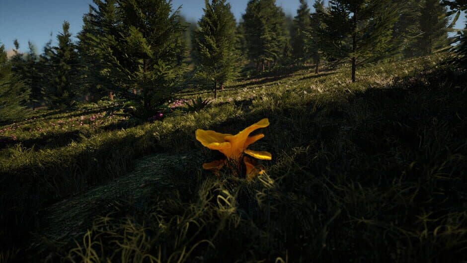 Скриншот 11 из Forager's Finds