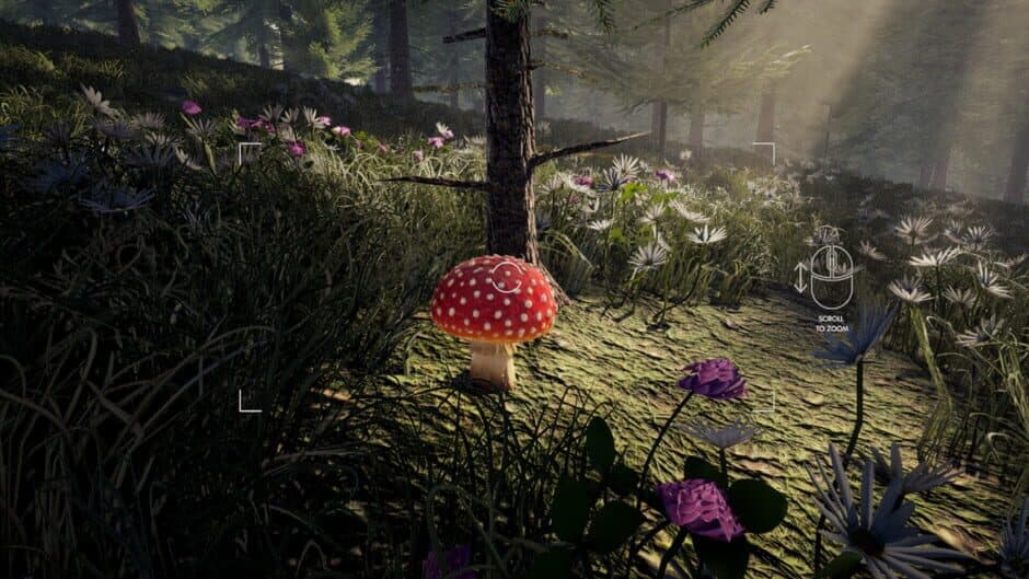 Скриншот 12 из Forager's Finds