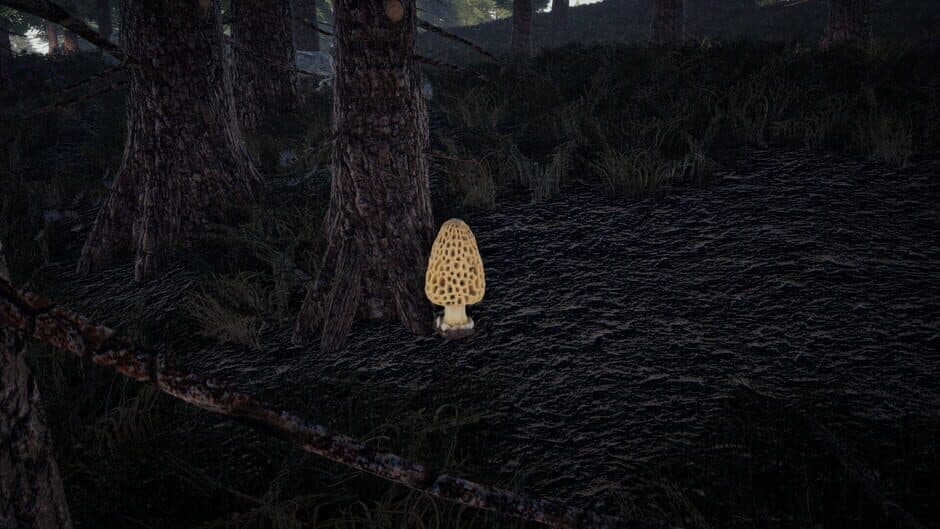 Скриншот 9 из Forager's Finds