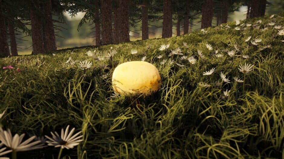 Скриншот 1 из Forager's Finds