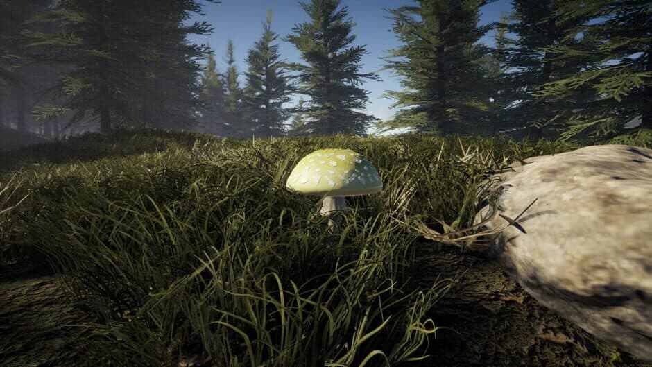 Скриншот 2 из Forager's Finds