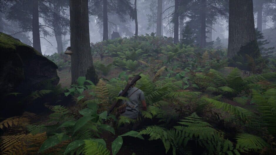 Скриншот 1 из Trail of the Cryptid