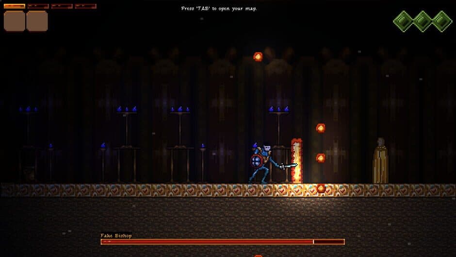 Скриншот 3 из Sylva: Curse of the Demon Woods