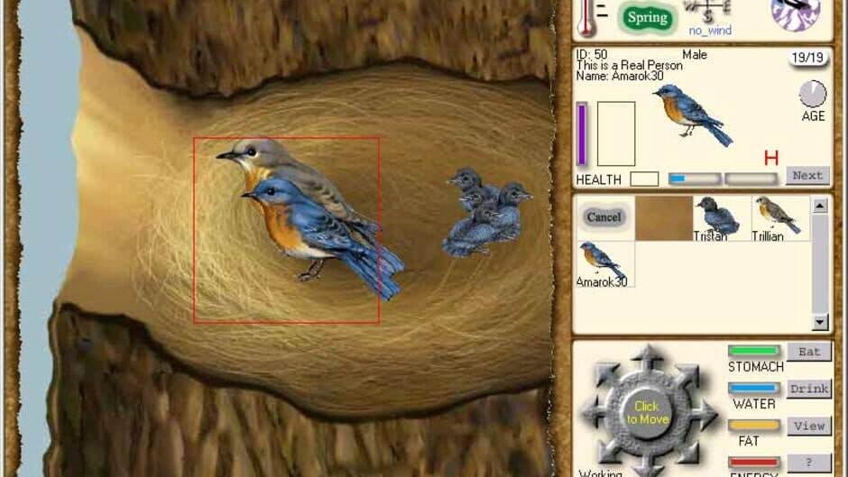 Скриншот 3 из Web Earth Online
