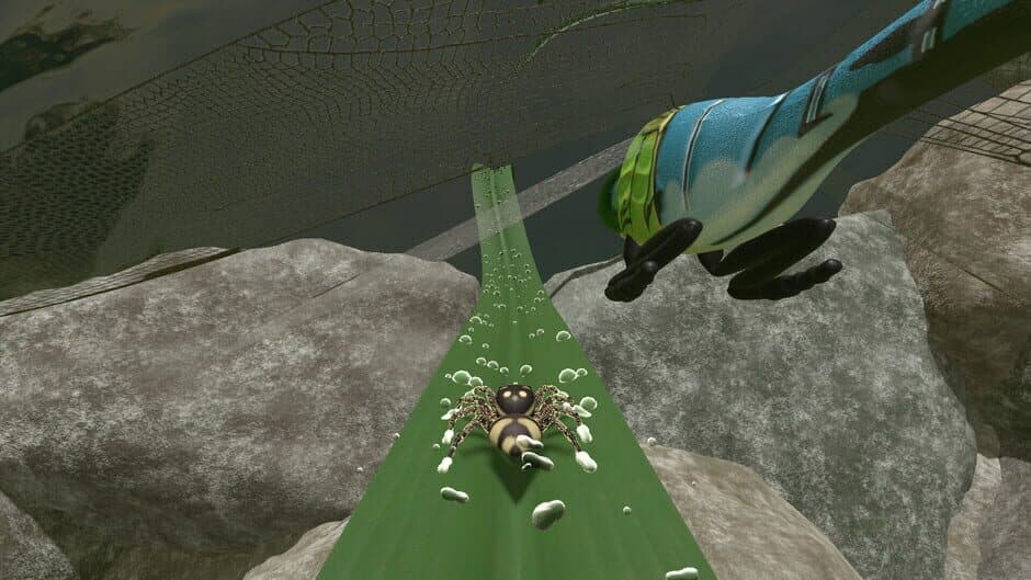 Скриншот 6 из A little Jumpingspider's Garden Adventure (Day 1+2)