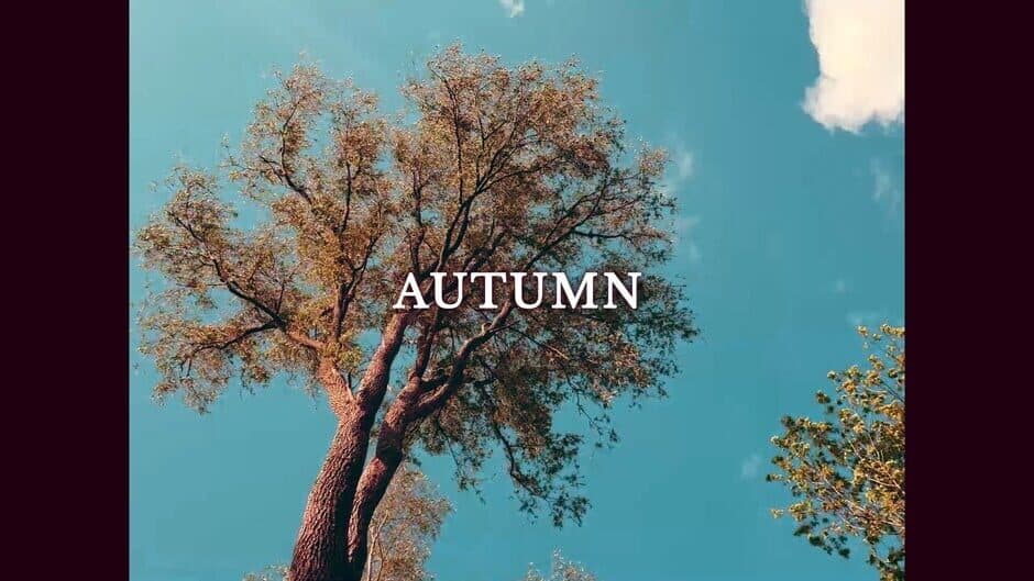 Скриншот 1 из Screenplay in Autumn